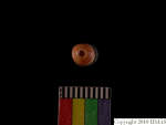 L_V22d6546 A16q80.1 T921 dM sh f55
